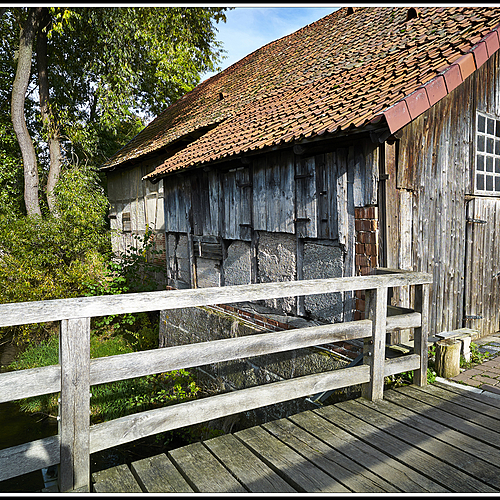 Photo ID 337847