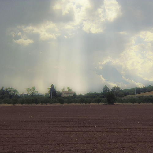 Photo ID 335454