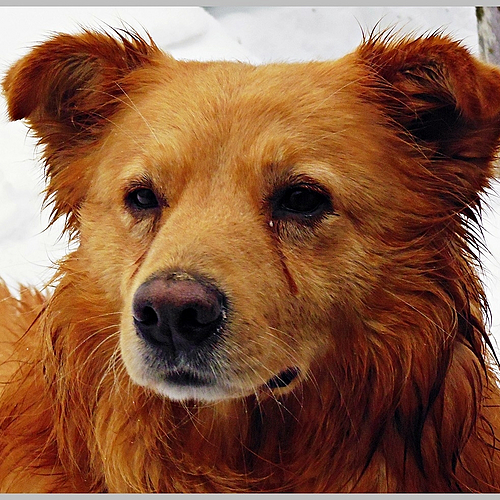 Photo ID 340353