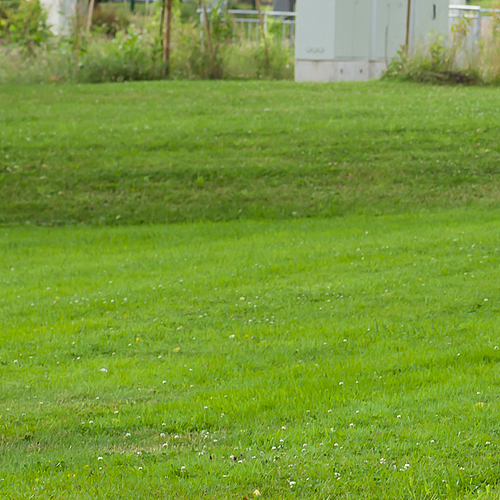 Photo ID 401580