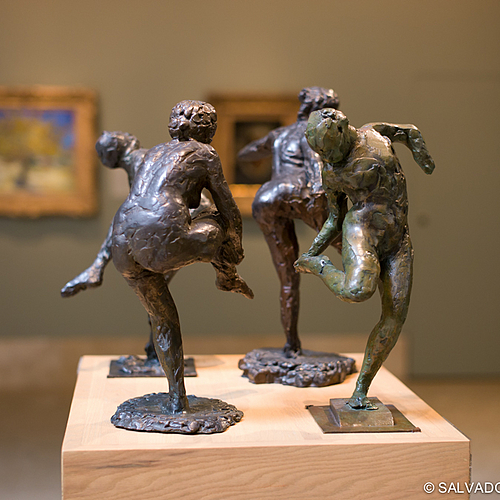 Photo ID 336142