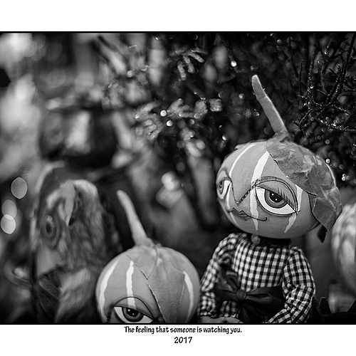 Photo ID 363464