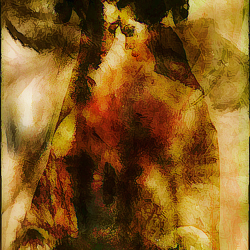 Photo ID 360282