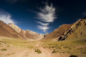 Album 1500387