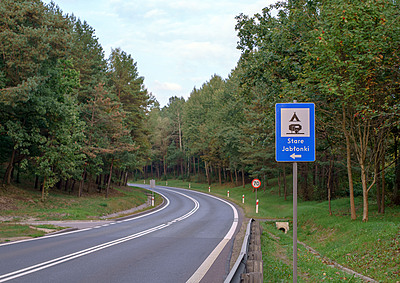 Album 1600017