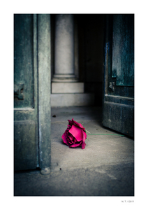 Album 1500714