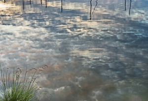 Album 1500764