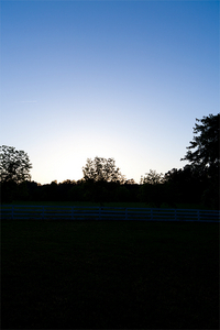 Album 1500813