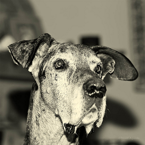 Photo ID 535148