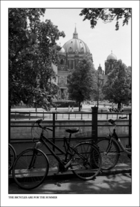 Album 301685