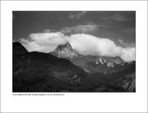 Album 301691