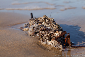 Album 1500966