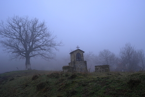 Album 300808