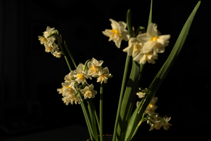 Album 300808