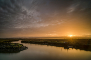 Album 1501077