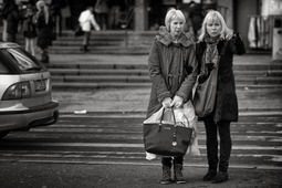 Album 301497