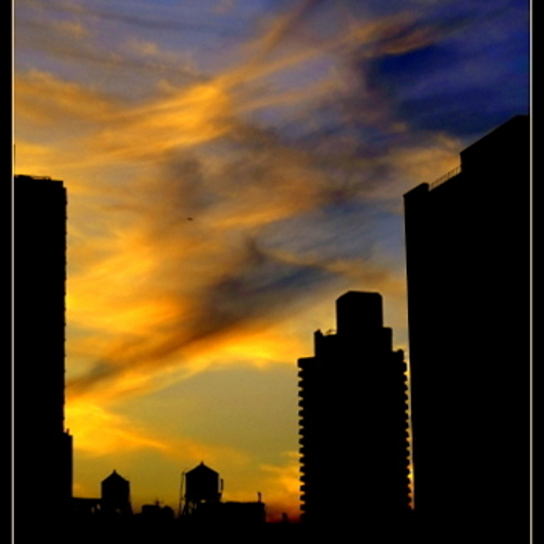 Photo ID 331223
