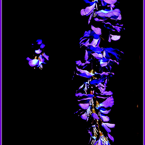 Photo ID 331934