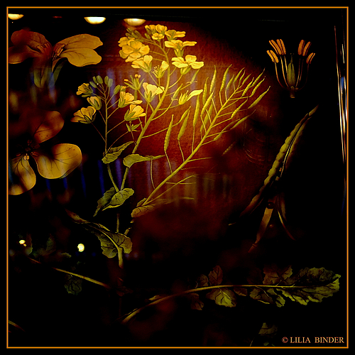 Photo ID 333365