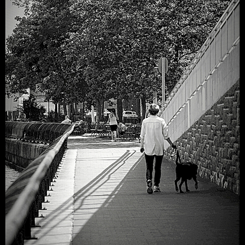 Photo ID 333559