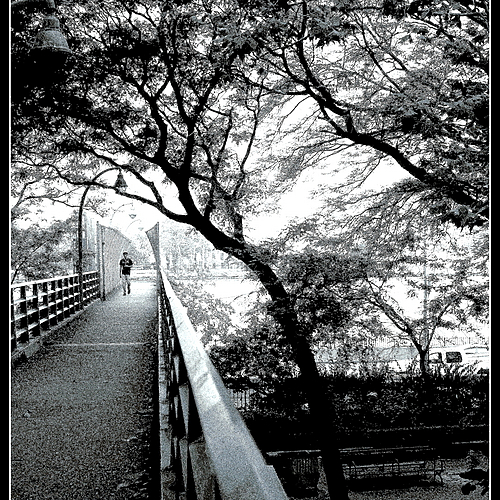 Photo ID 333676