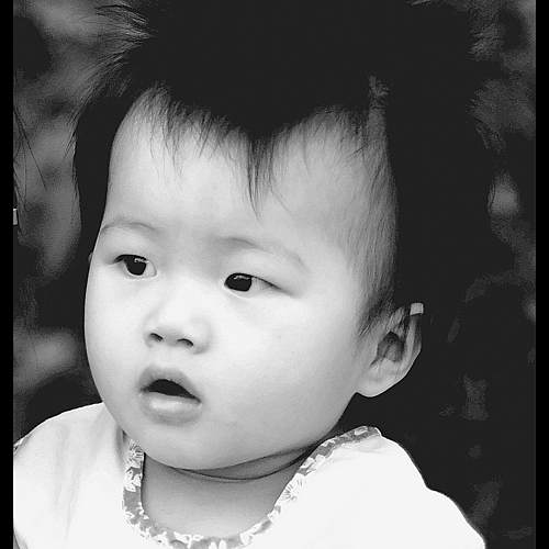 Photo ID 334118