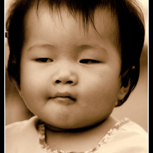 Photo ID 334146