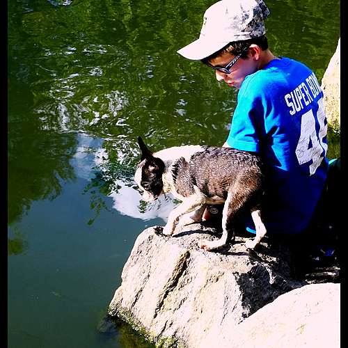 Photo ID 334996