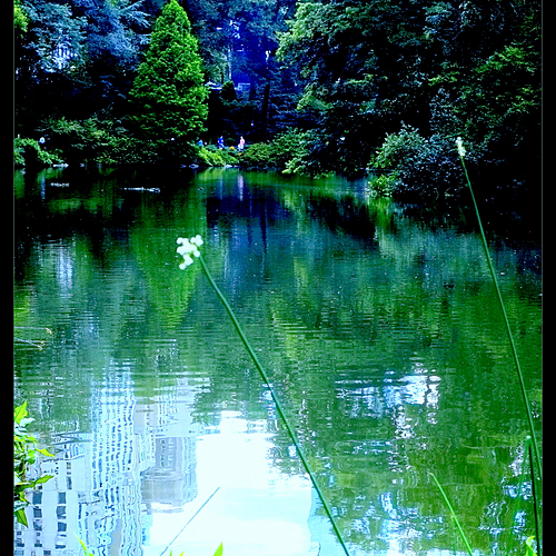 Photo ID 335108