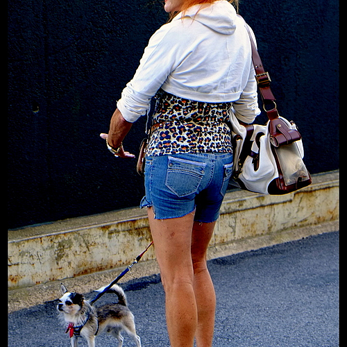 Photo ID 30385