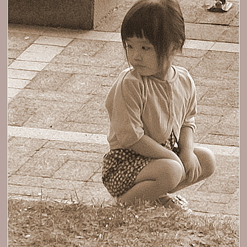 Photo ID 336366