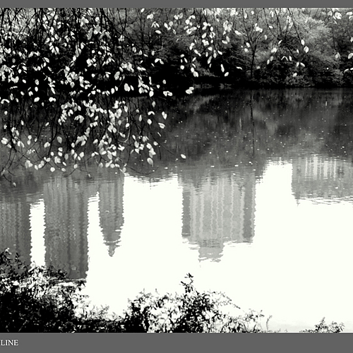 Photo ID 338653