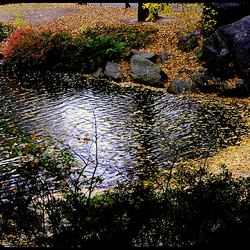 Photo ID 339254
