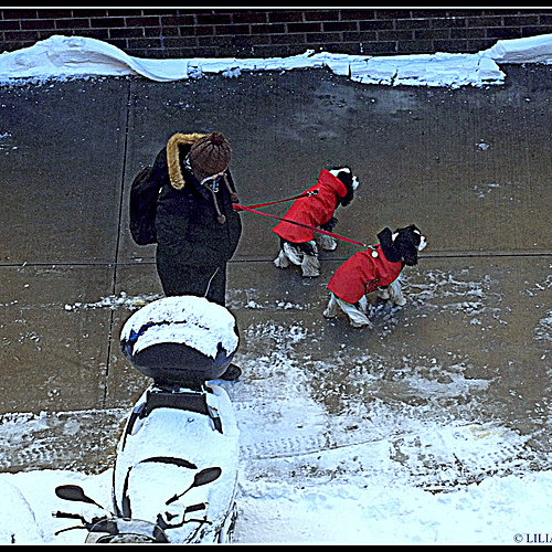 Photo ID 340314