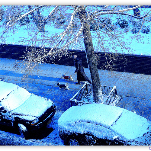 Photo ID 342449