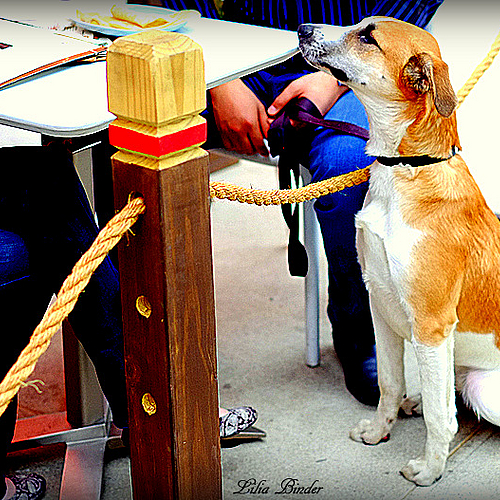 Photo ID 360217