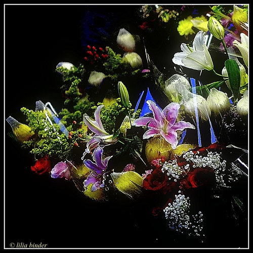 Photo ID 360268