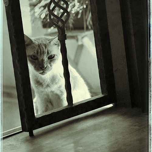 Photo ID 337121