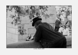 Album 301455