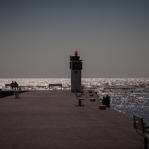 Photo ID 551562