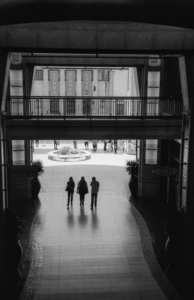 Album 301476
