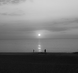 Album 301772