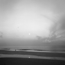 Album 301772