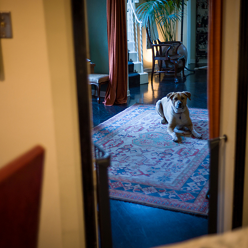 Photo ID 333702