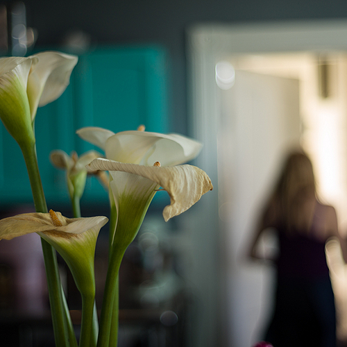 Photo ID 343209