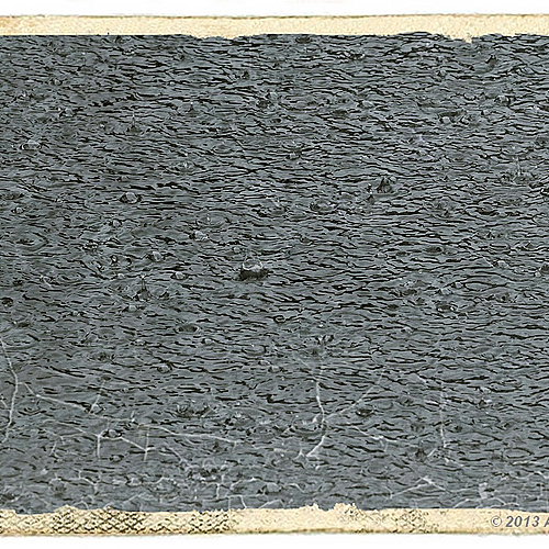 Photo ID 528500