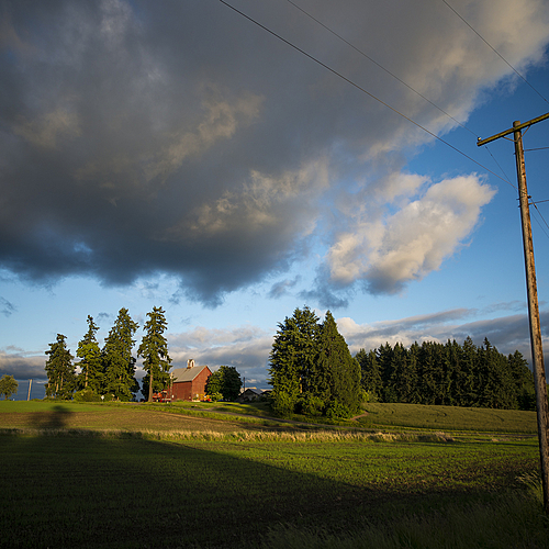 Photo ID 529040