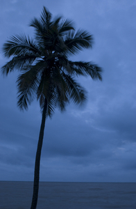 Album 1500183
