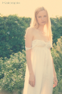 Album 501442