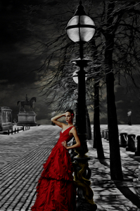 Album 501534
